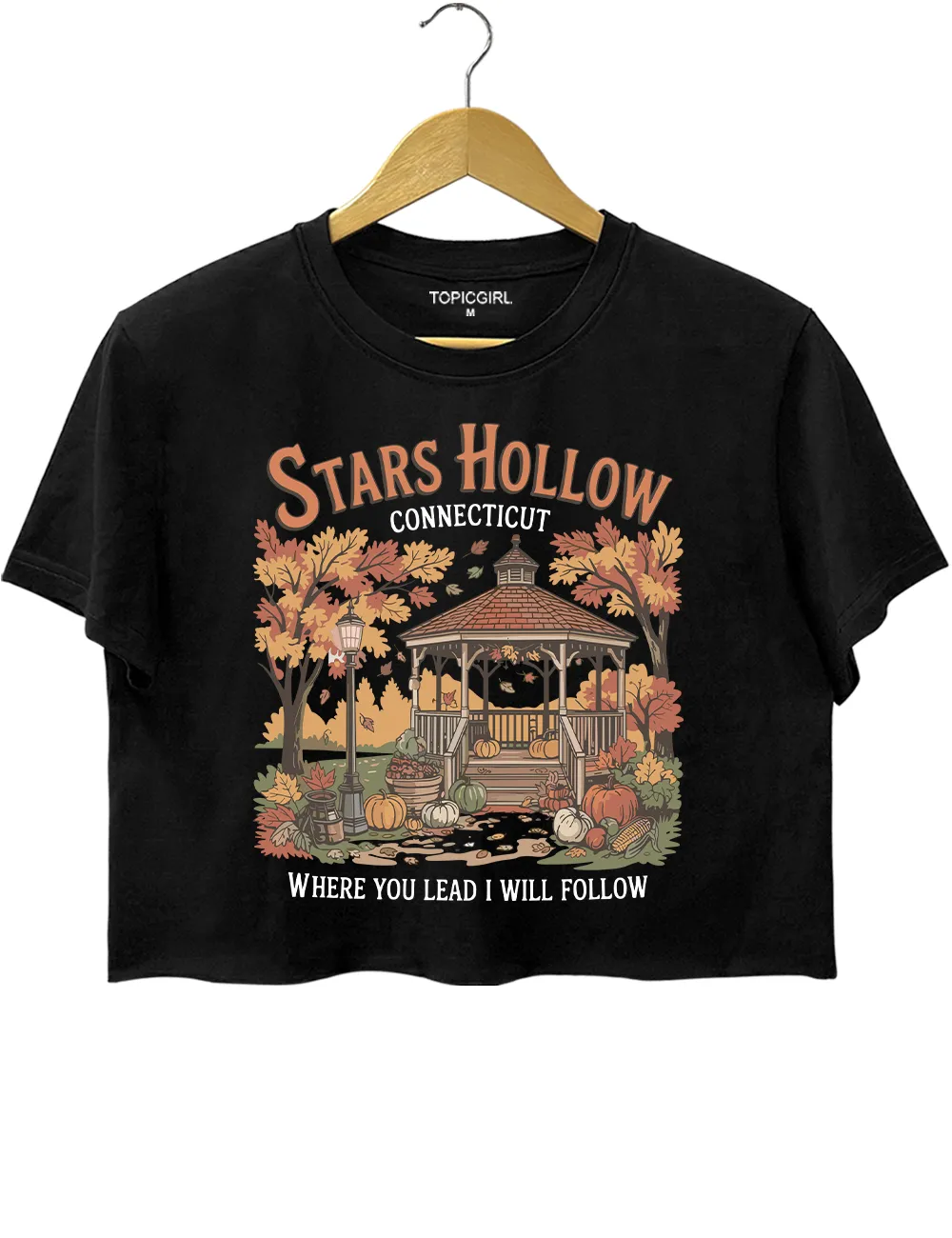Stars Hollow Where You Lead I Will Follow Crop Top sold by Topic Girl product image thumbnail 3