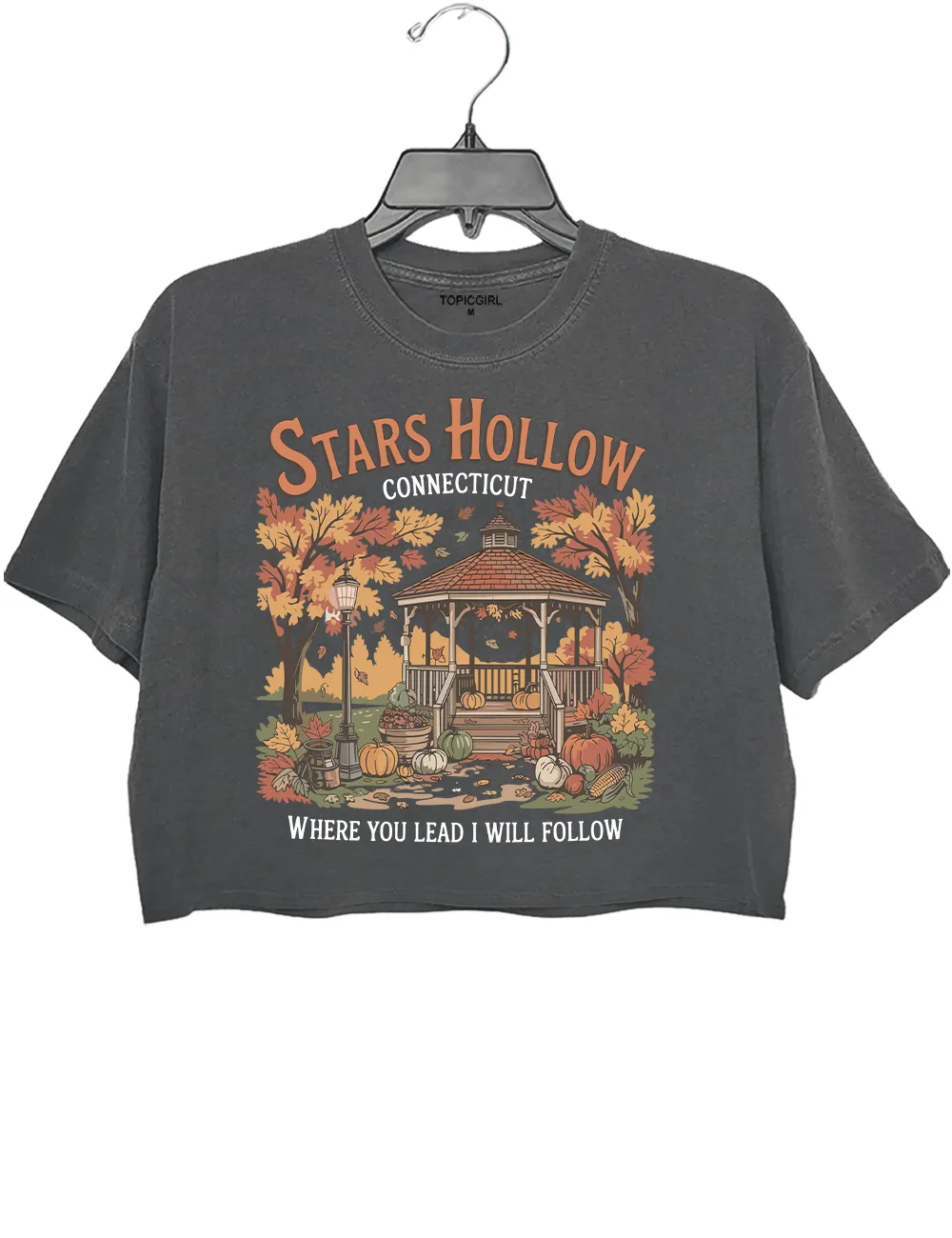 Stars Hollow Where You Lead I Will Follow Crop Top sold by Topic Girl product image thumbnail 2