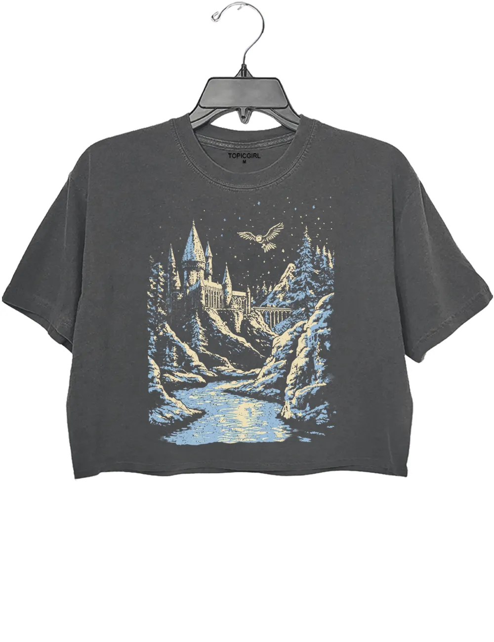 Wizarding World Crop Top sold by Topic Girl