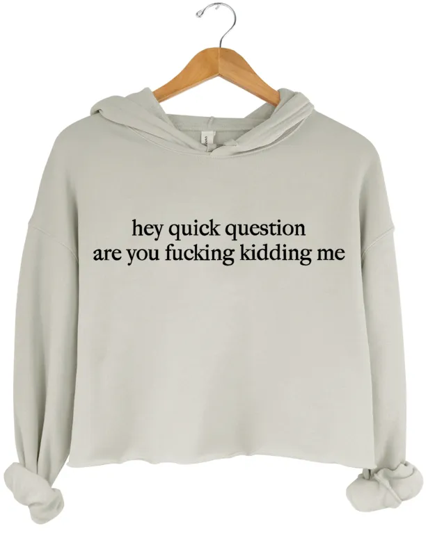 Hey Quick Question Are You Fucking Kidding Me Crop Hoodie sold by Topic Girl