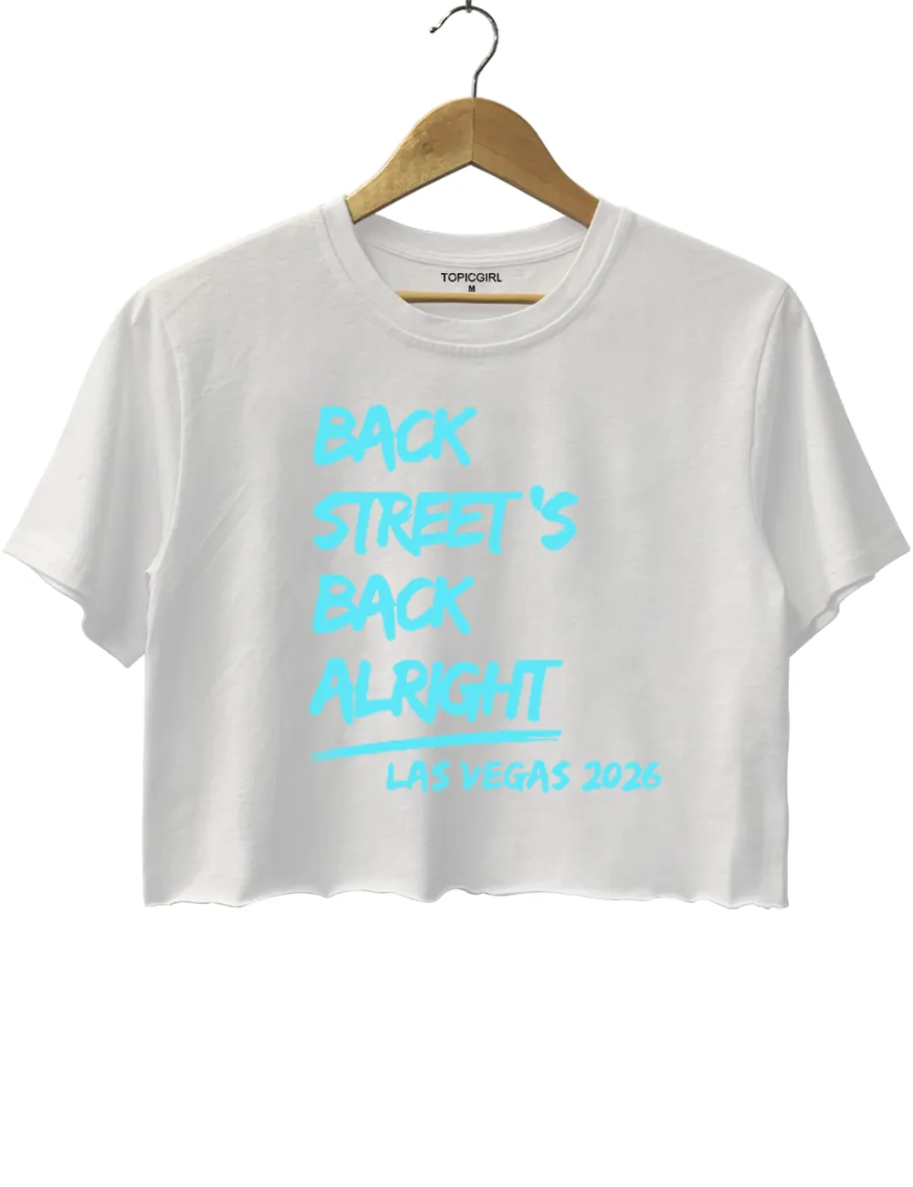 Backstreet Boys 2026 Crop Top sold by Topic Girl product image thumbnail 5