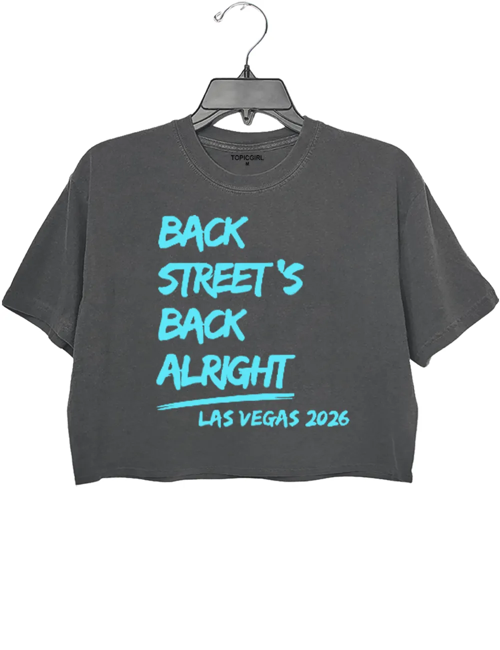 Backstreet Boys 2026 Crop Top sold by Topic Girl product image thumbnail 2