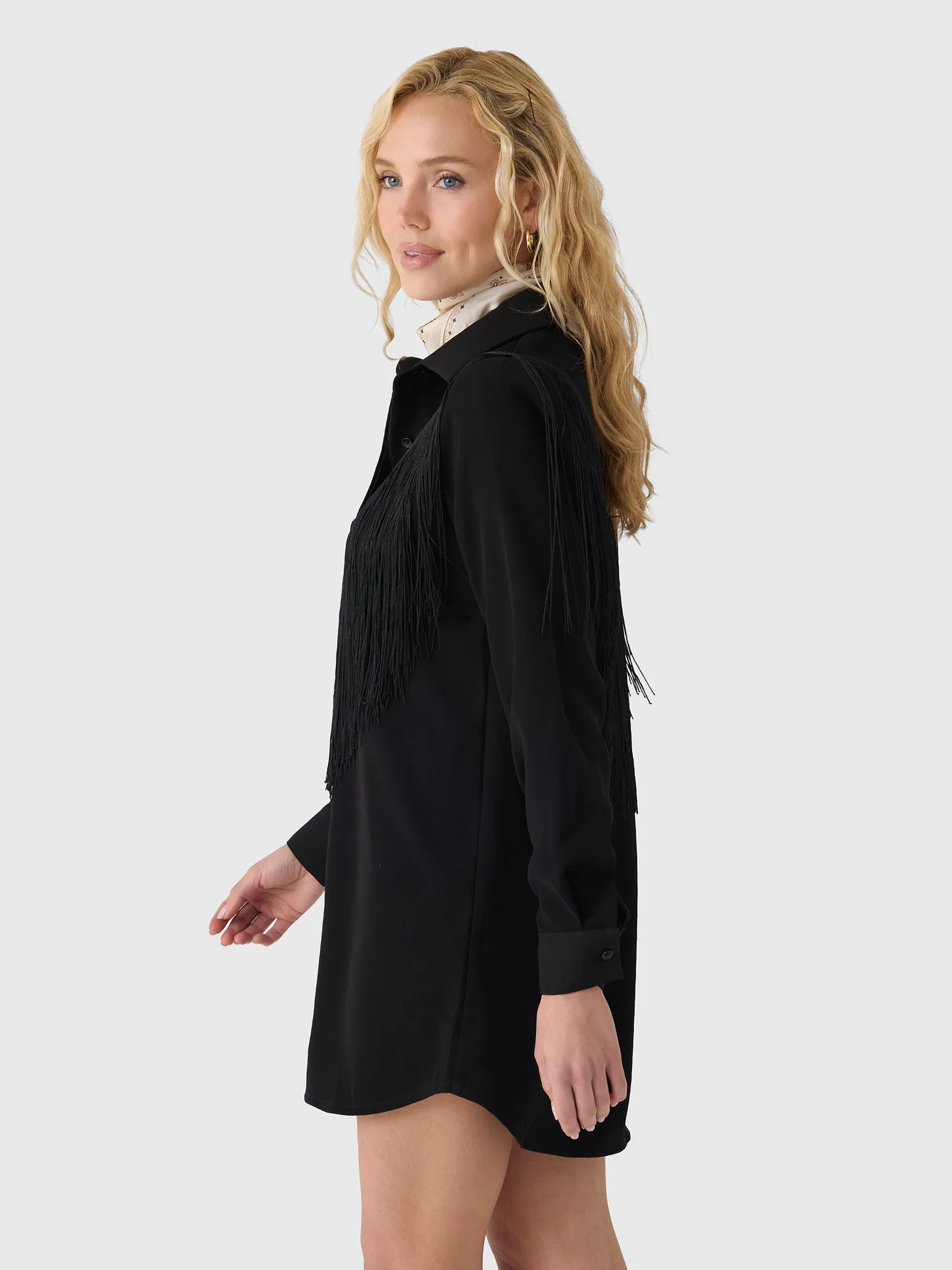 Masons Daughter Women's Dolly Western Fringe Mini Dress sold by Saint Bernard product image thumbnail 3