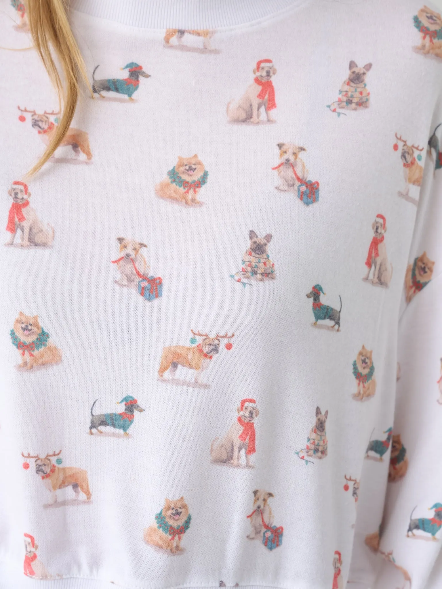 Z Supply Women's Cozy Up Pup Long Sleeve Top sold by Saint Bernard product image thumbnail 5