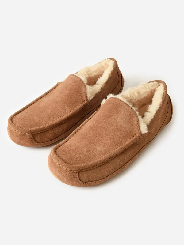UGG Men's Ascot Slipper sold by Saint Bernard
