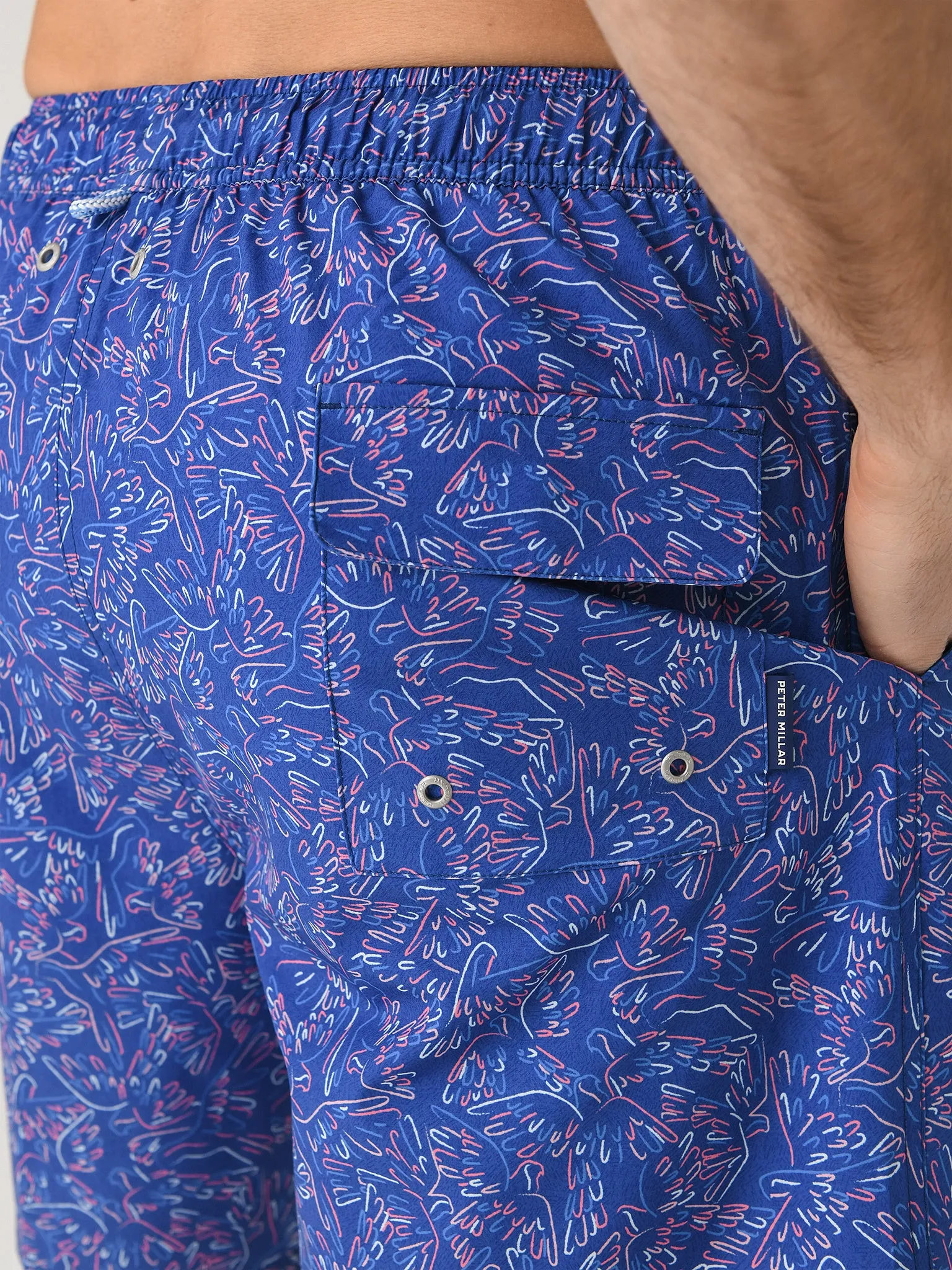 Peter Millar Crown Men's Polly Want A Sun Tan Swim Trunk sold by Saint Bernard product image thumbnail 5