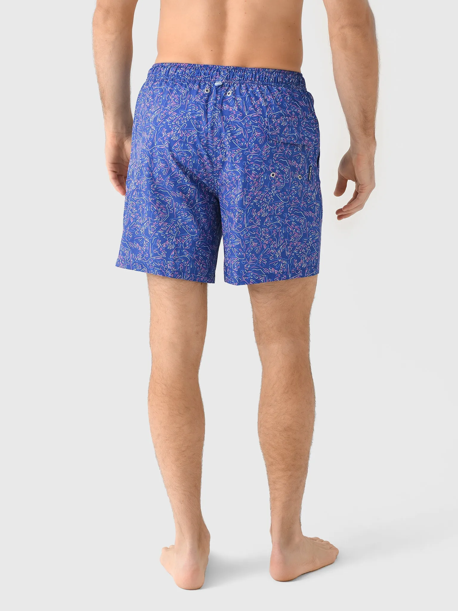 Peter Millar Crown Men's Polly Want A Sun Tan Swim Trunk sold by Saint Bernard product image thumbnail 4