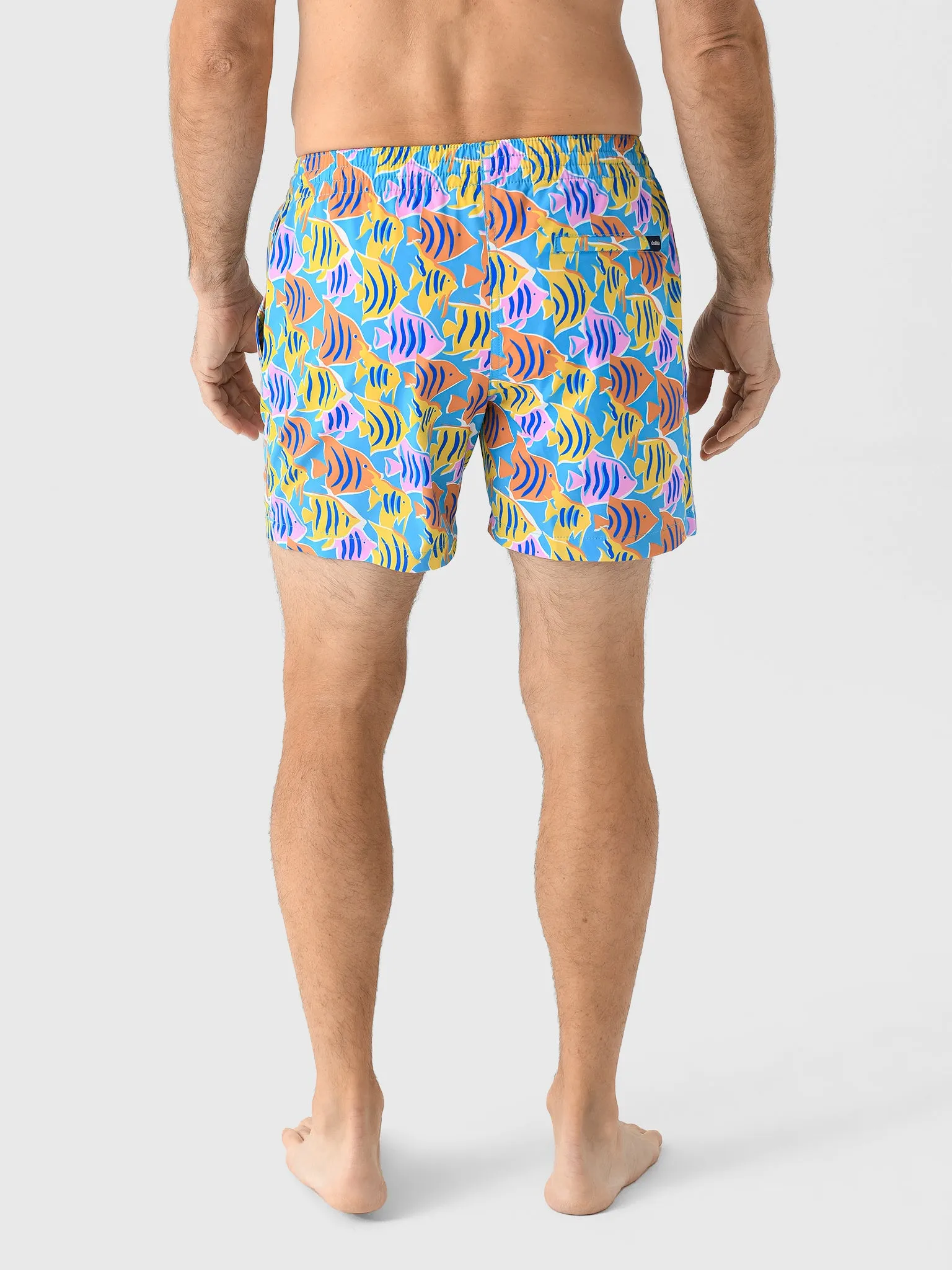 Chubbies Men's The Fish Tanks 5.5" Lined Swim Trunk sold by Saint Bernard product image thumbnail 4