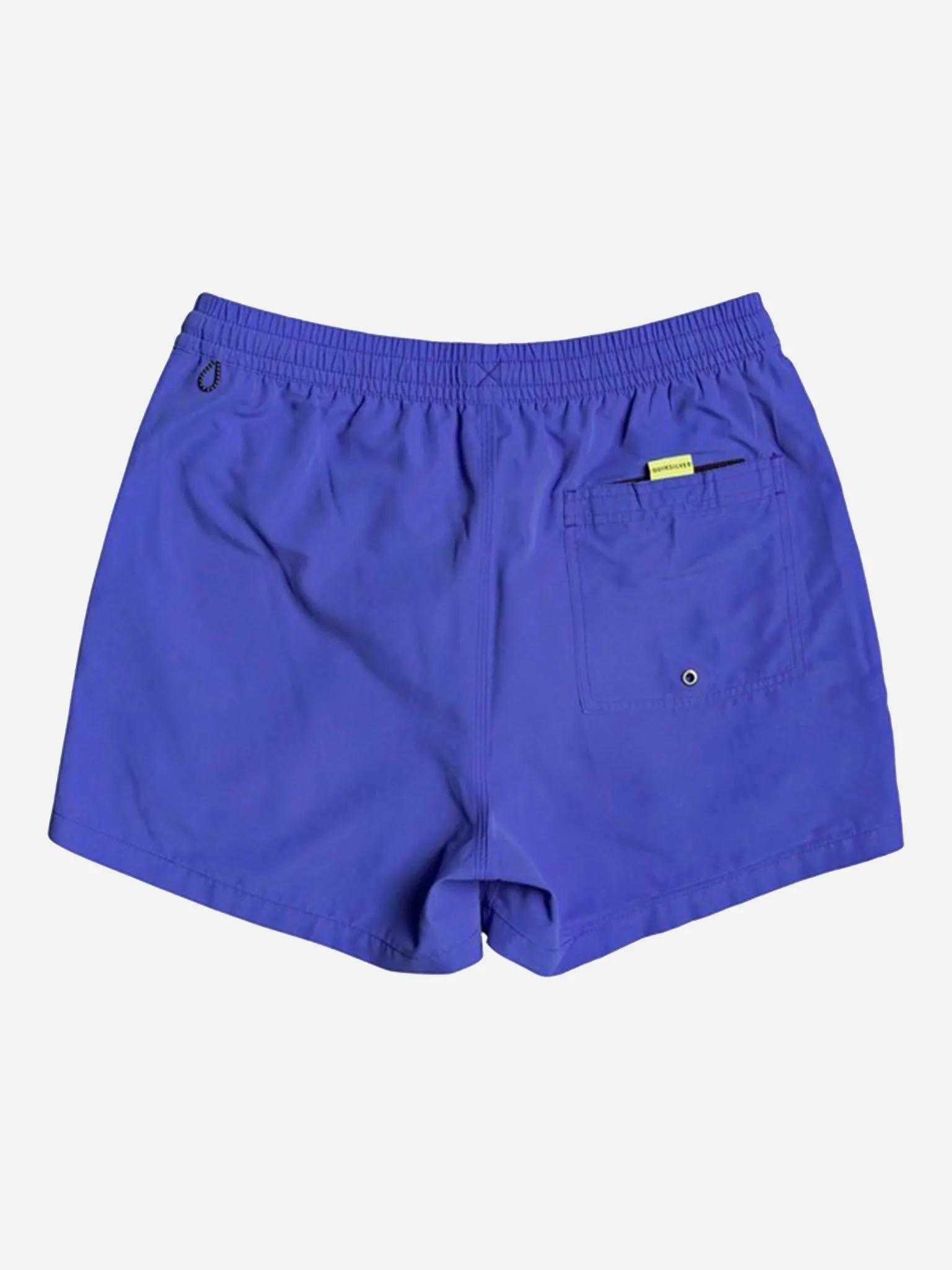 Quiksilver Men's Everyday 15" Volley Trunk sold by Saint Bernard product image thumbnail 2