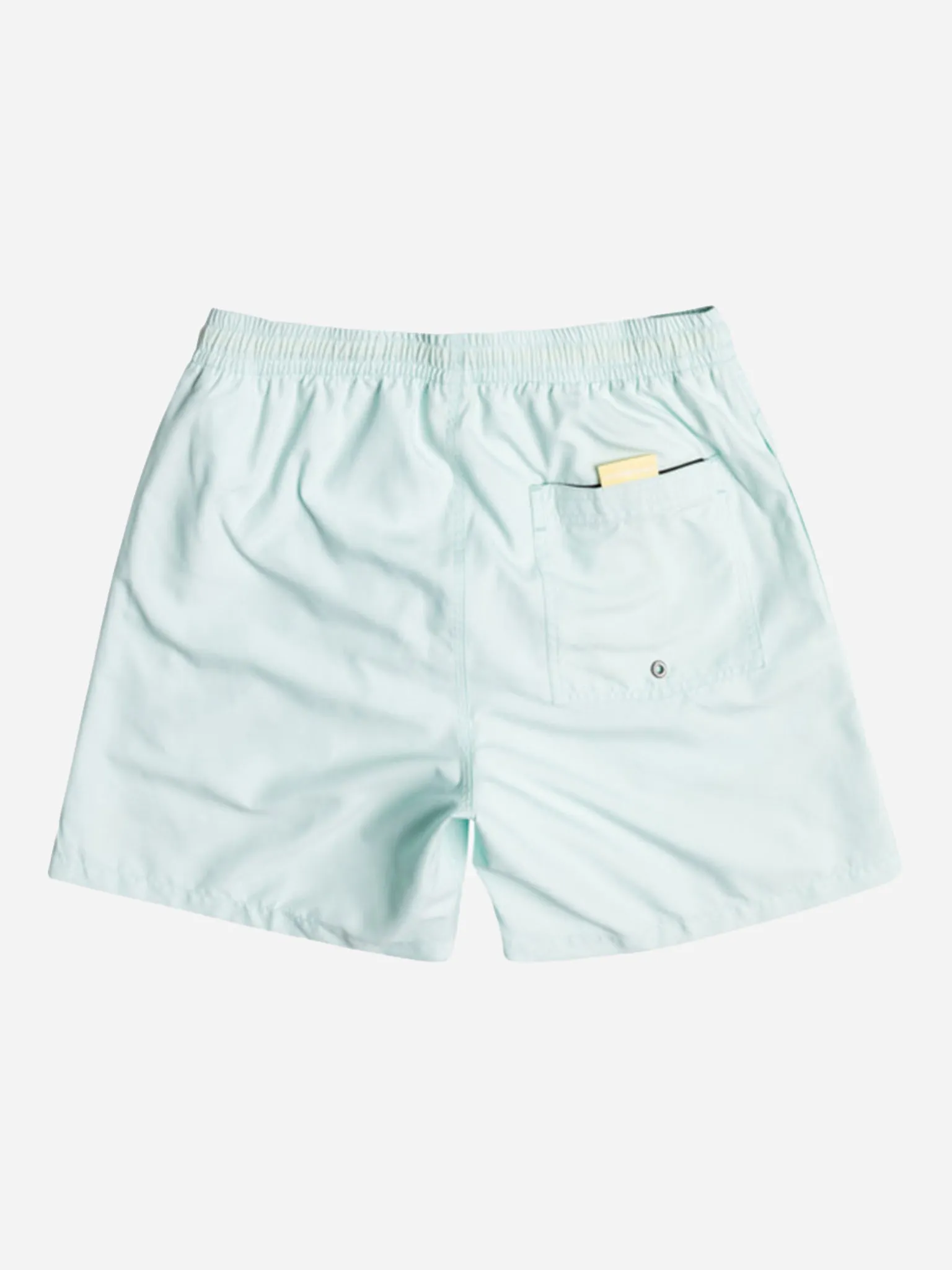 Quiksilver Men's Everyday 17" Volley Trunk sold by Saint Bernard product image thumbnail 2