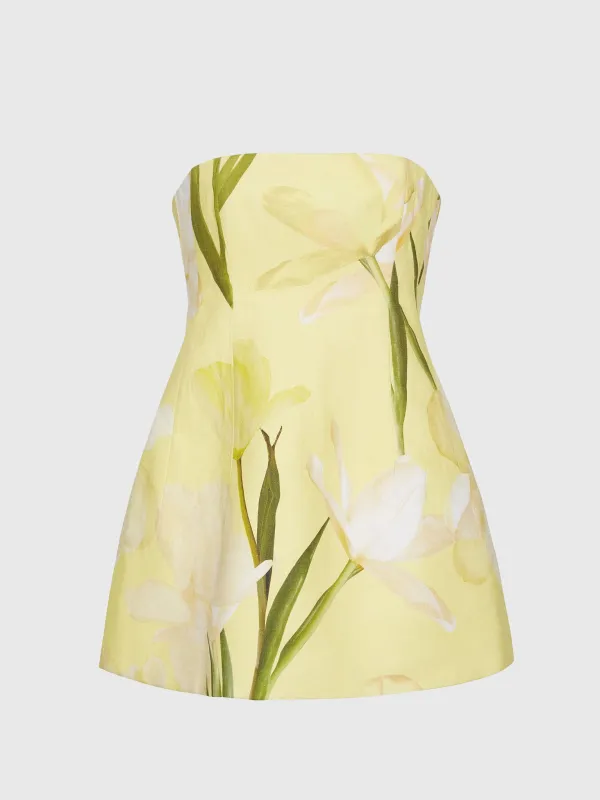 Cara Cara Women's Ines Mini Dress made by Cara Cara New York