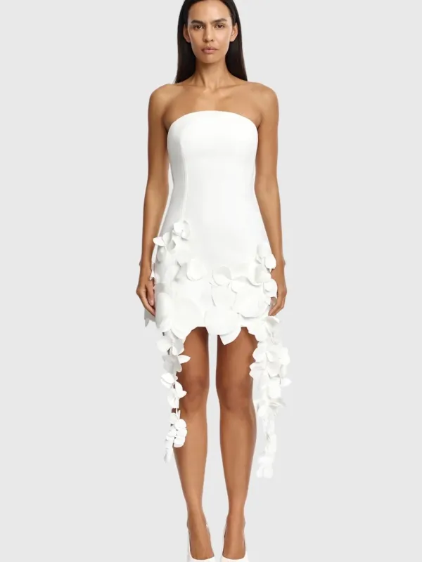 Acler Women's Sandia Mini Dress made by Acler