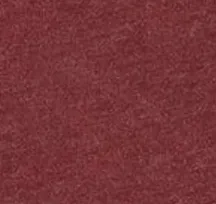 Minnesota Freeman Crewneck Fleece Sweatshirt sold by Johnnie-O product image thumbnail 4