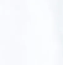 Women's Texas Sadie Performance Polo sold by Johnnie-O product image thumbnail 3