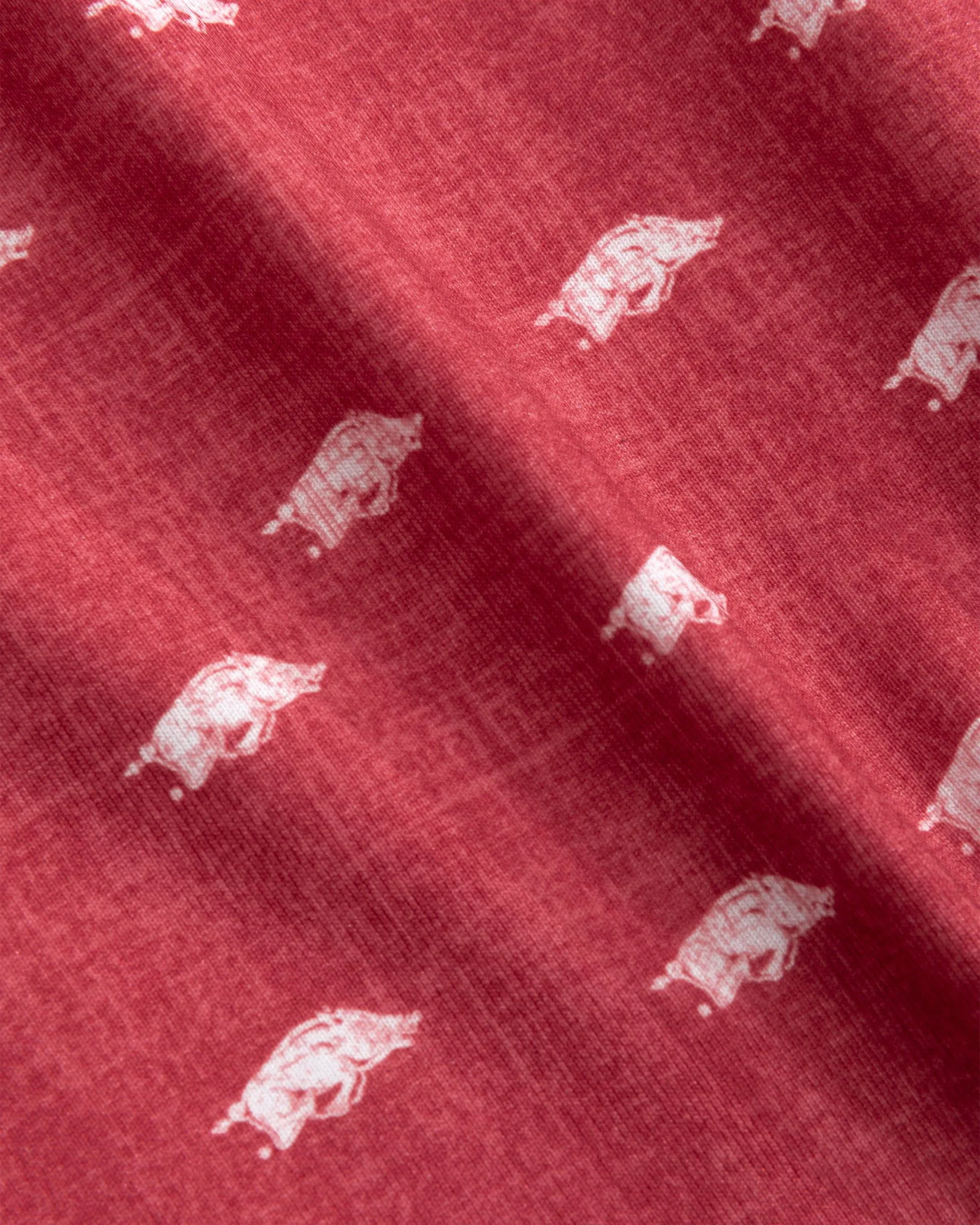 Arkansas Stadium Exeter Printed Jersey Performance Polo sold by Johnnie-O product image thumbnail 4