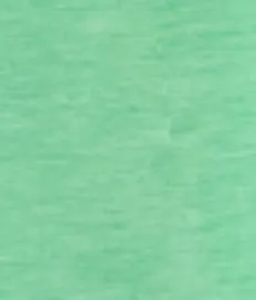 Women's Notre Dame Course Performance T-Shirt - Leprechaun Logo sold by Johnnie-O product image thumbnail 4