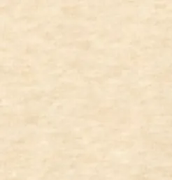 Women's James Madison Kelli Pullover Hoodie sold by Johnnie-O product image thumbnail 3