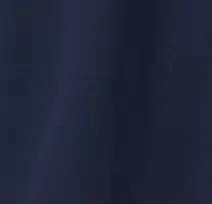 U.S. Naval Academy Motion Performance 1/4 Zip sold by Johnnie-O product image thumbnail 4