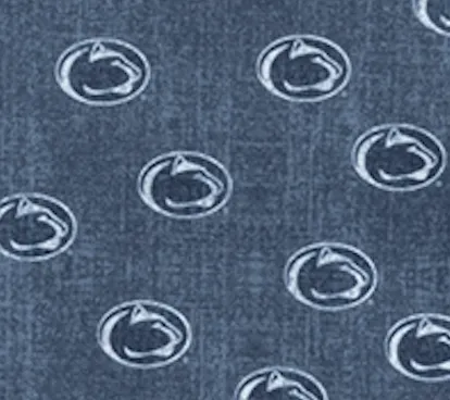 Penn Exeter Printed Jersey Performance Polo sold by Johnnie-O product image thumbnail 2