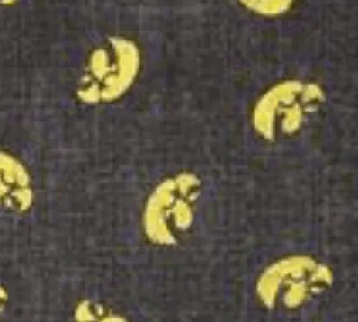 Iowa Exeter Printed Jersey Performance Polo sold by Johnnie-O product image thumbnail 2