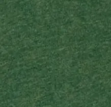 Green Bay Packers Heathered Spencer T-Shirt sold by Johnnie-O product image thumbnail 5