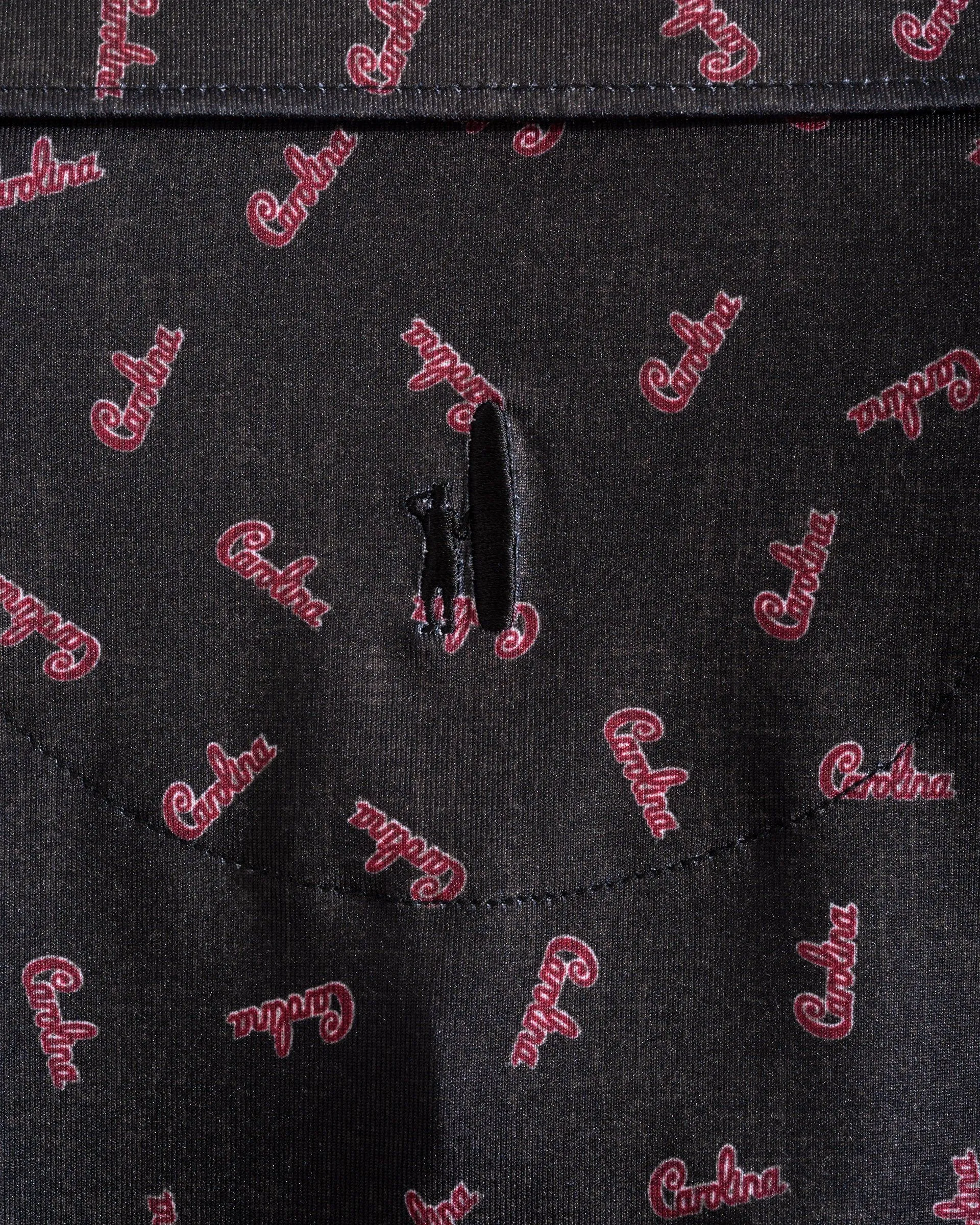 South Carolina Stadium Exeter Printed Jersey Performance Polo sold by Johnnie-O product image thumbnail 3