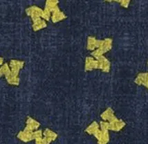 Michigan Stadium Exeter Printed PREP-FORMANCE Polo sold by Johnnie-O product image thumbnail 4