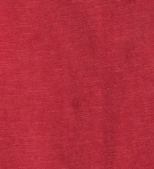 Women's Indiana Coastal Wash Polo - Undefeated 2025 Logo sold by Johnnie-O product image thumbnail 4