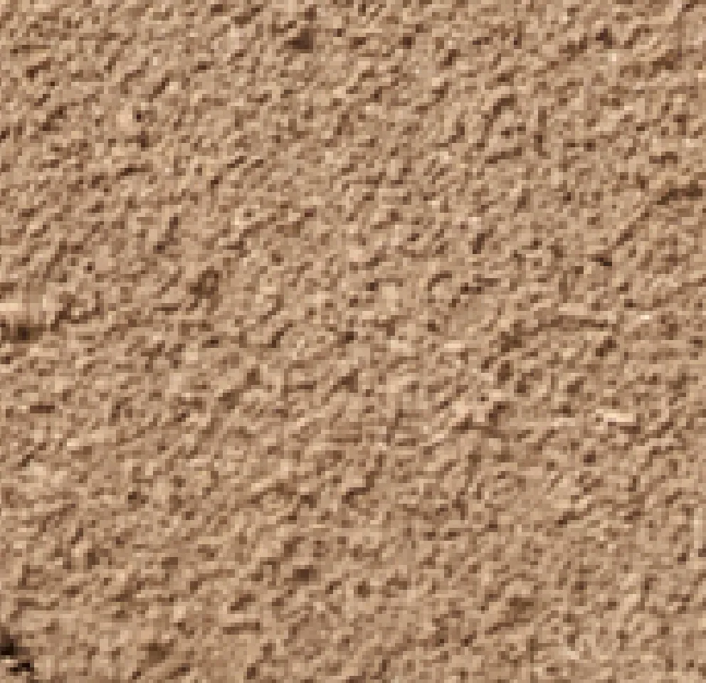 O-Ring Suede Belt sold by Johnnie-O product image thumbnail 4