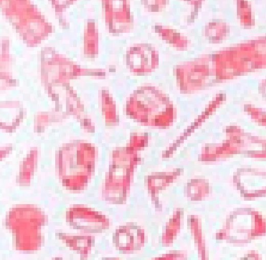 University of Arizona Rally Cap Performance Polo sold by Johnnie-O product image thumbnail 4