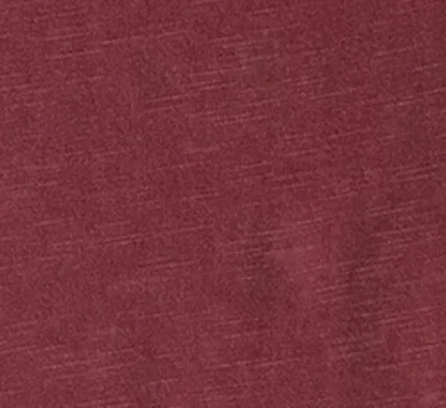 Women's Florida State University Coastal Wash Polo - Vault Logo sold by Johnnie-O product image thumbnail 5