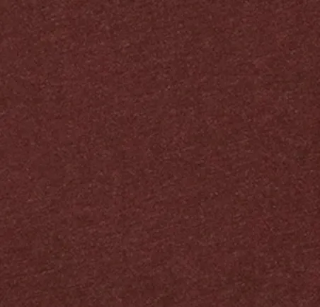 Women's Central Michigan University Merediths V-Neck T-Shirt sold by Johnnie-O product image thumbnail 5