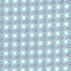 Carolinas Golf Association Performance Jersey Polo - Dot Neat sold by Johnnie-O product image thumbnail 4