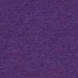 Women's Louisiana State Merediths V-Neck T-Shirt sold by Johnnie-O product image thumbnail 4