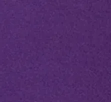 Texas Christian University Brady Jr. Fleece 1/4 Zip Pullover - Horned Frog Logo sold by Johnnie-O product image thumbnail 2