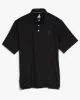 Michigan State Birdie Jersey Performance Polo - Spartan Logo sold by Johnnie-O