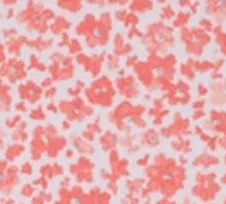 Wells Fargo Championship Pederson Printed Cotton Blend Performance Polo sold by Johnnie-O product image thumbnail 2