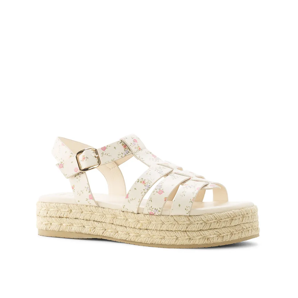 ASTER sold by Yellow Shoes product image thumbnail 3
