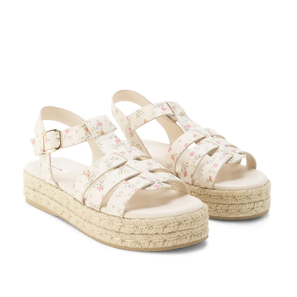 ASTER sold by Yellow Shoes product image thumbnail 2