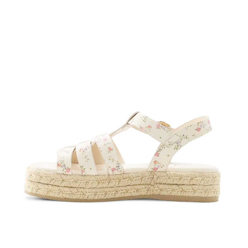 ASTER sold by Yellow Shoes product image thumbnail 4