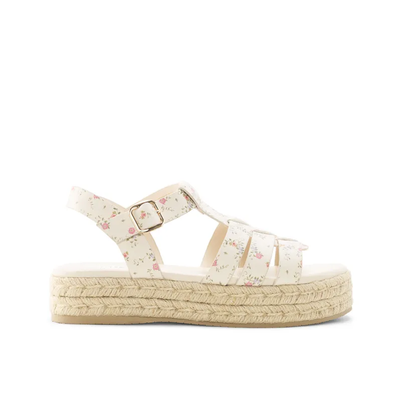 ASTER made by Yellow Shoes