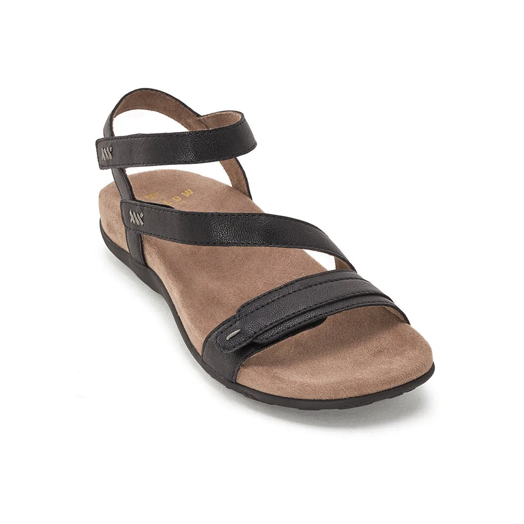 Petunias sold by Yellow Shoes product image thumbnail 3