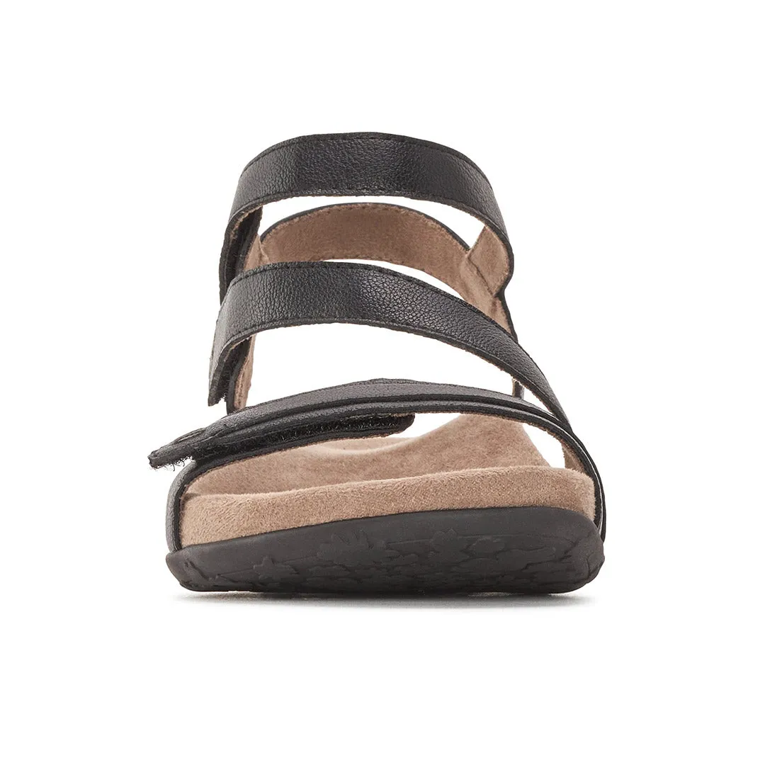 Petunias sold by Yellow Shoes product image thumbnail 5