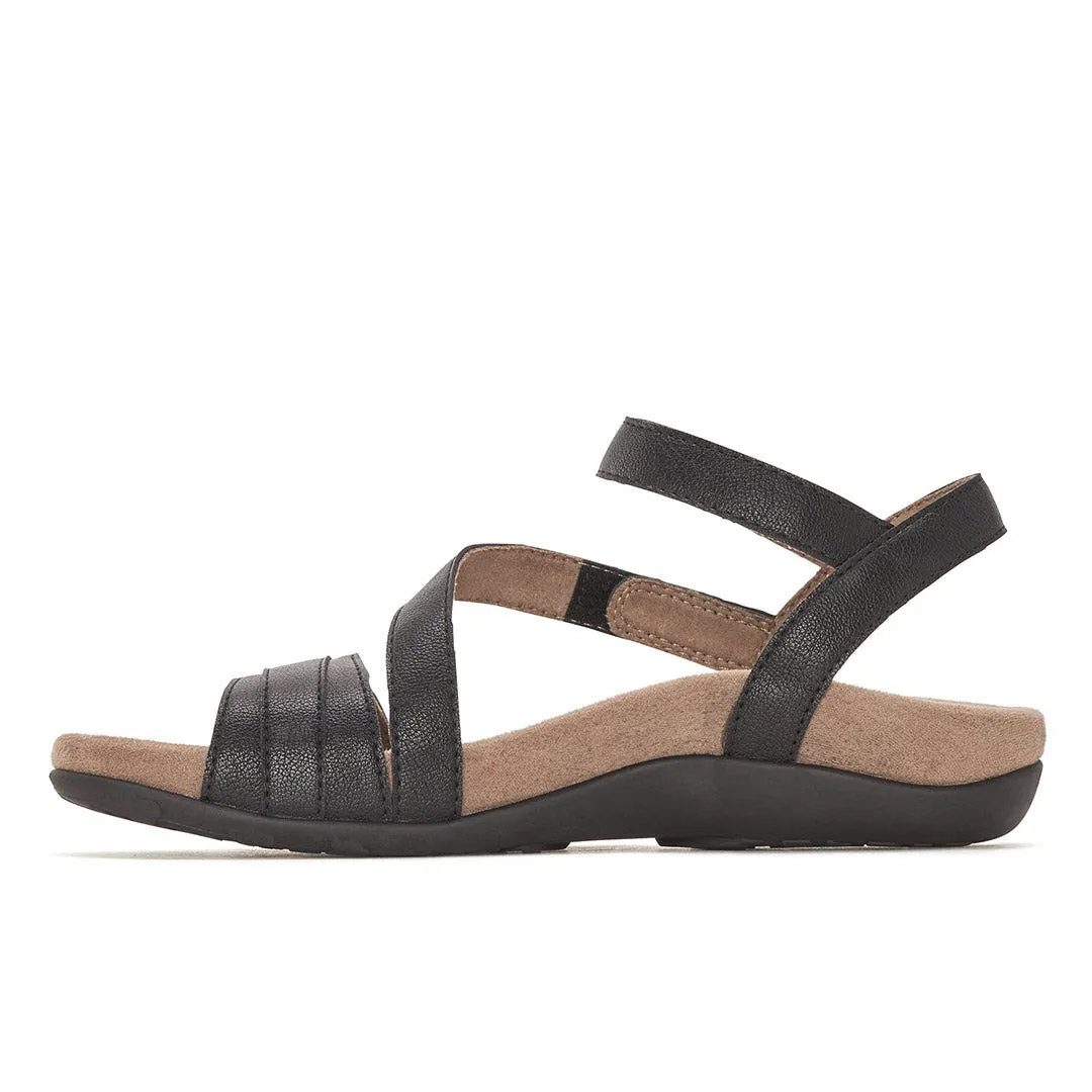 Petunias sold by Yellow Shoes product image thumbnail 4