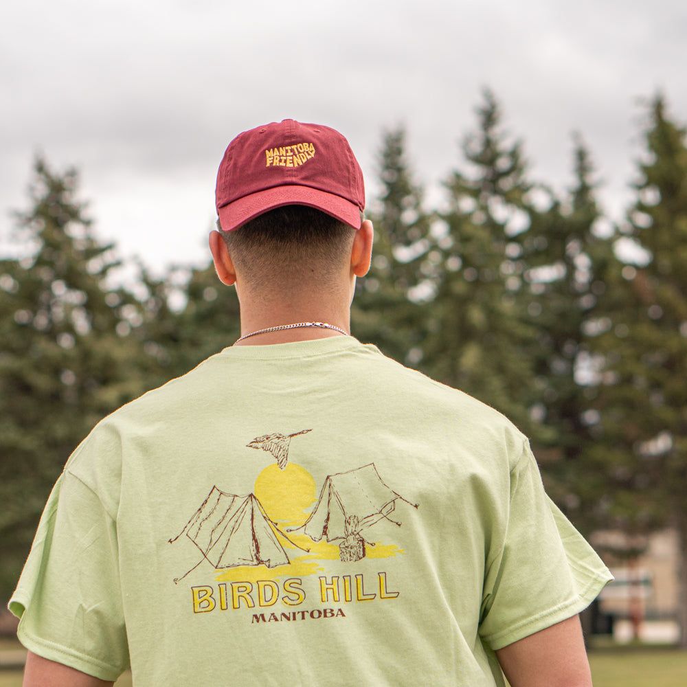 Birds Hill Manitoba Pastel Green Places Tee sold by Friendly People product image thumbnail 3