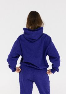 Don’t Steal My Hoodie Hoodie Royale Purple sold by Vitae Apparel