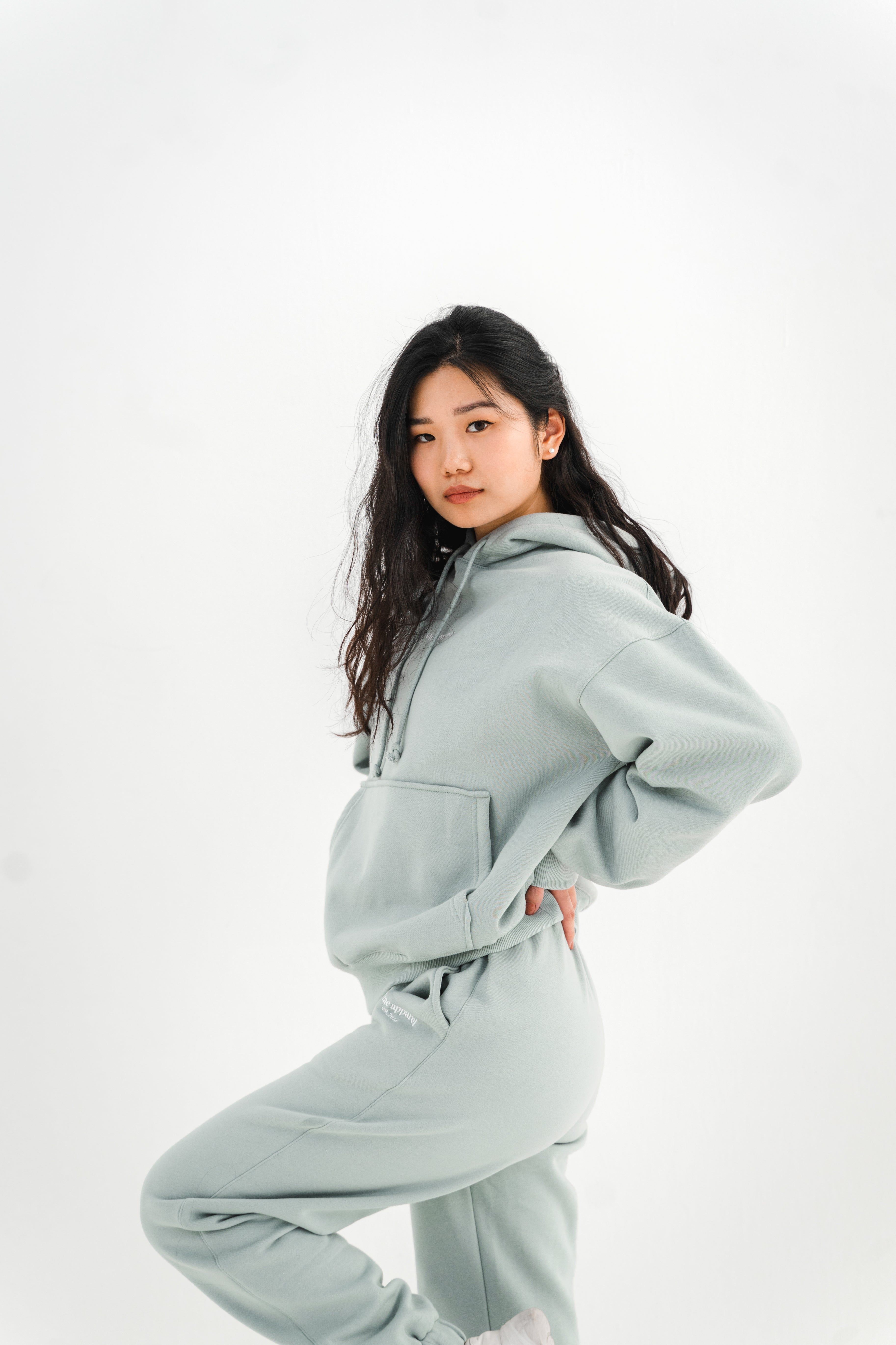 Make It Happen Hoodie Sage Green sold by Vitae Apparel product image thumbnail 12