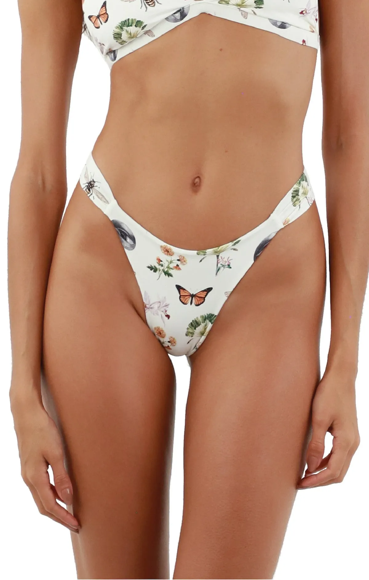 Idol Eyes Bold Bottom sold by Malai Swimwear product image thumbnail 4