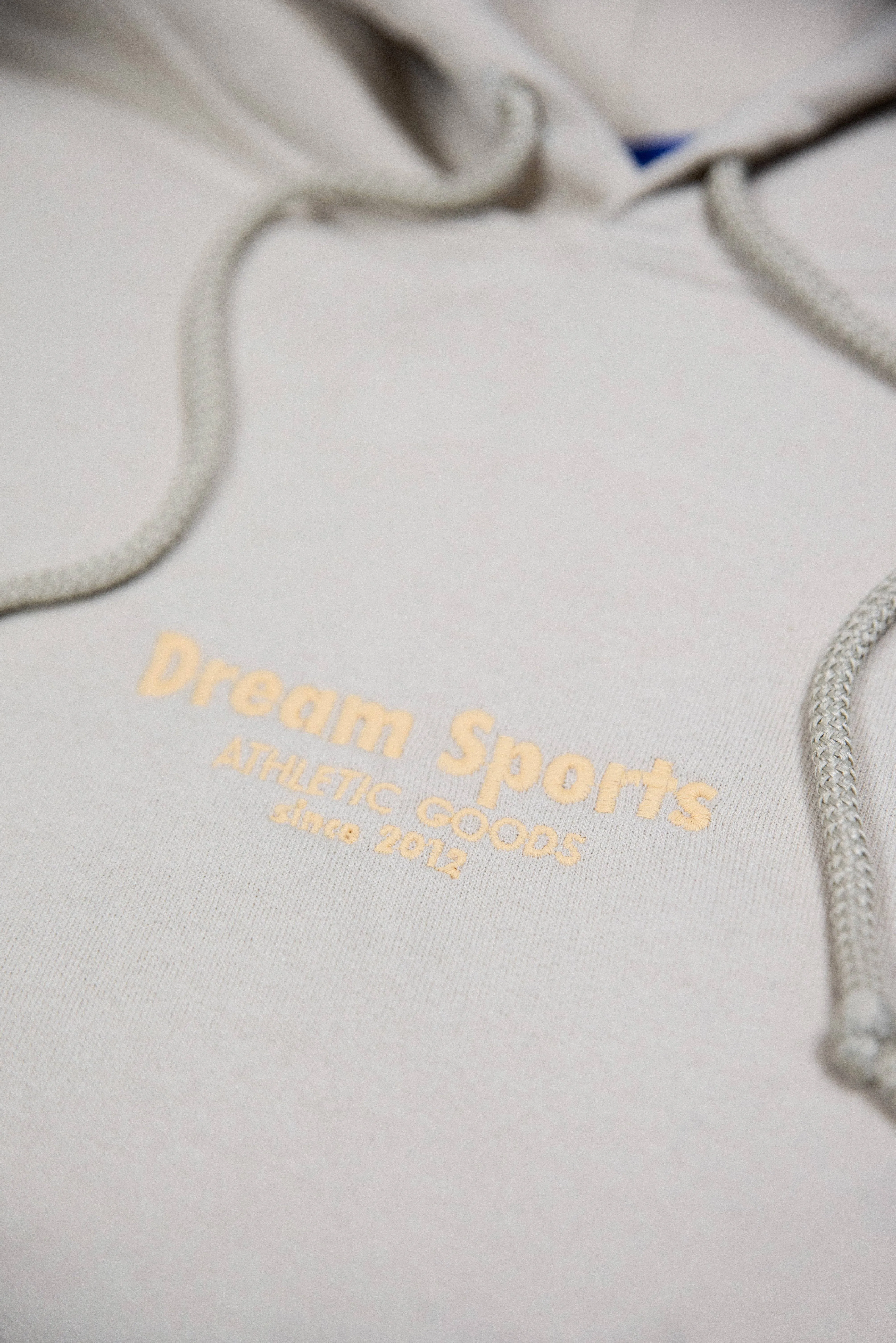 Hoodie in Sand with Dream Sports Tonal Logo Embroidery sold by Dream But Do Not Sleep product image thumbnail 3