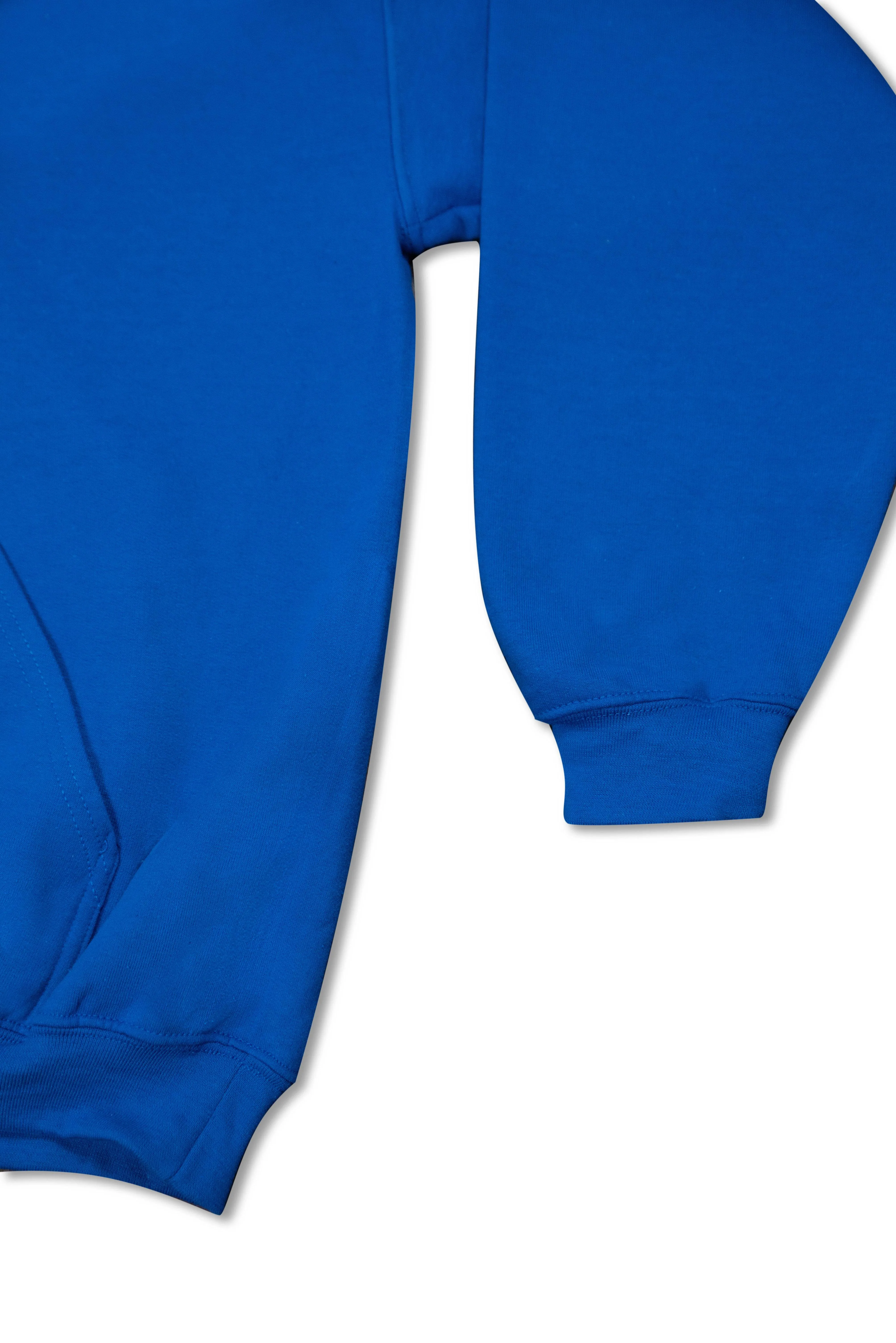 Hoodie in Royal Blue with Dream Sports Tonal Logo Embroidery sold by Dream But Do Not Sleep product image thumbnail 4